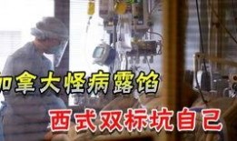 美国卫生部官员最新爆料,疫情真相与应对策略大揭秘